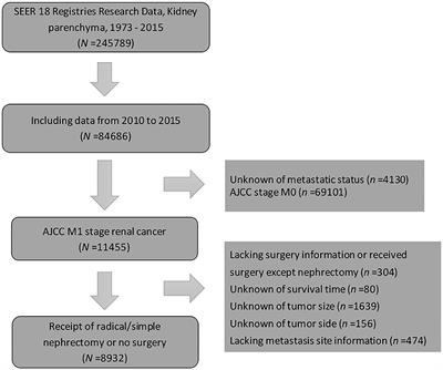 Do Metastatic Kidney Cancer Patients Benefit From Cytoreductive Nephrectomy? A Real-World Retrospective Study From the SEER Database